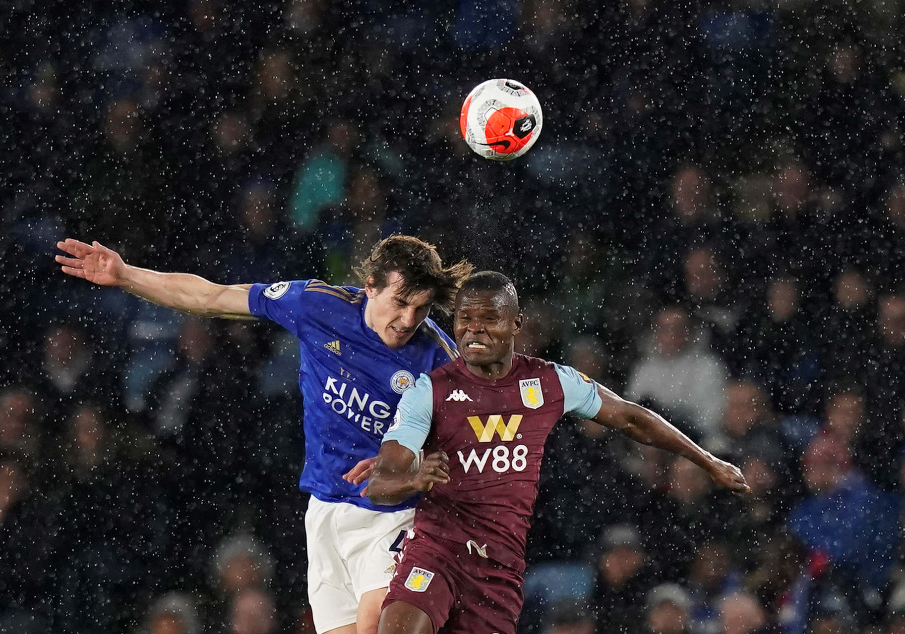 显示其自身 显示其自身